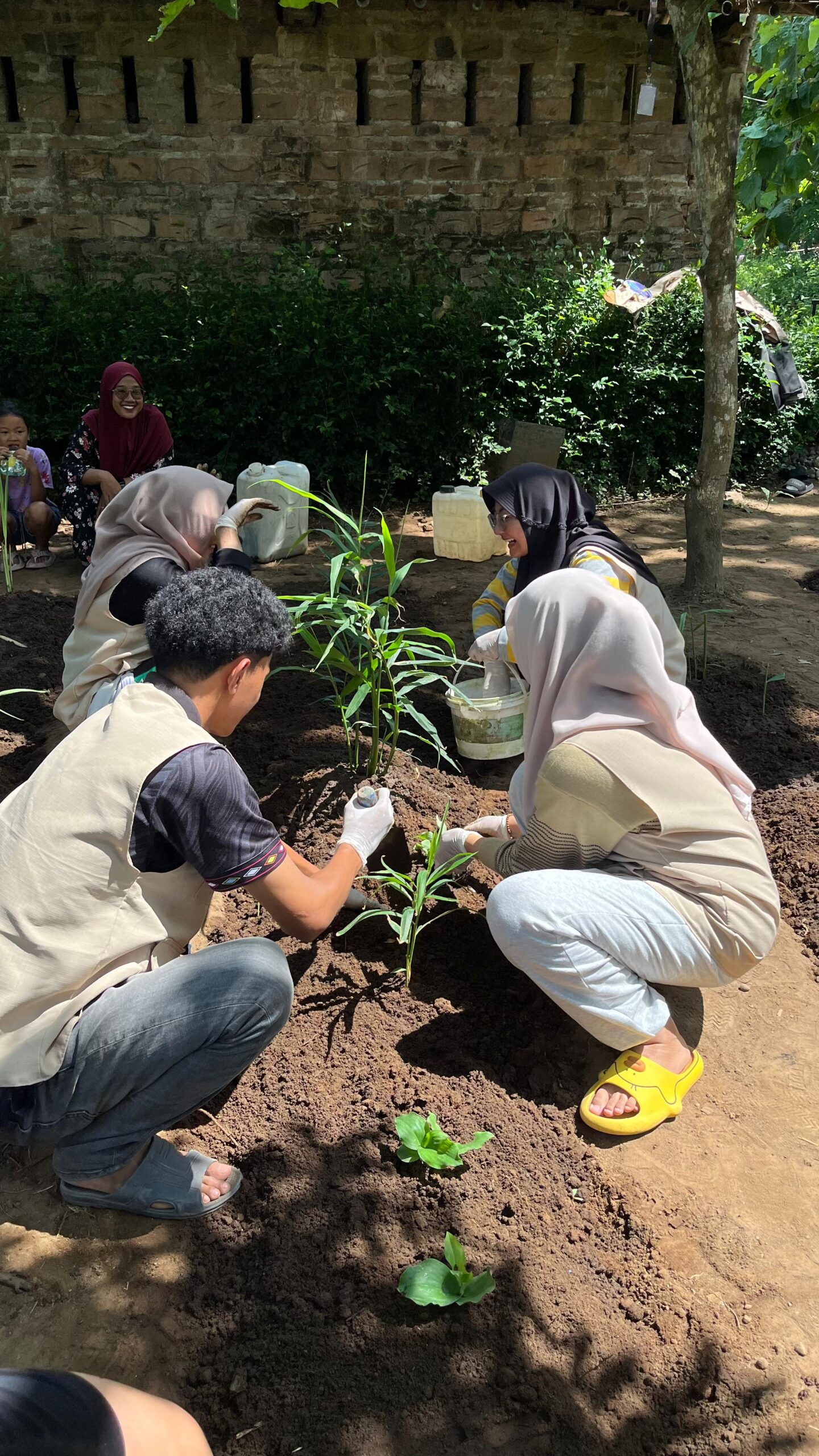 Mahasiswa KKN-T Universitas Alma Ata Kelompok 28 Melaksanakan Sosialisasi Penanaman (TOGA) Tanaman Obat Keluarga di Padukuhan Celan, Kalurahan Trimurti, Kecamatan Srandakan, Kabupaten Bantul